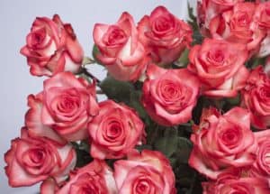 Valentine Marketing Ideas for Florists