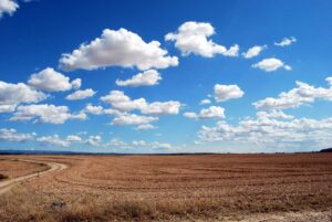 Cloud Phone Systems: Elevate Your Customer Experience