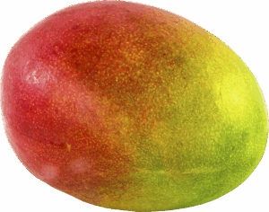 Mango Voice System with Messages That Work for You