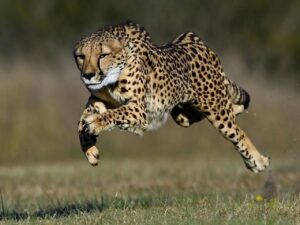 Improve Sales Without Chasing More Leads